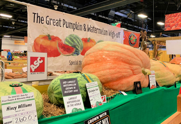 Great Pumpkins and Watermelons NC State Fair